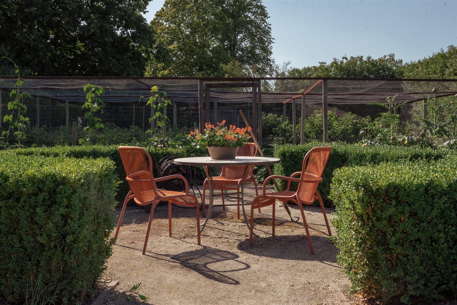 LOOP DINING CHAIR ROPE TERRACOTTA